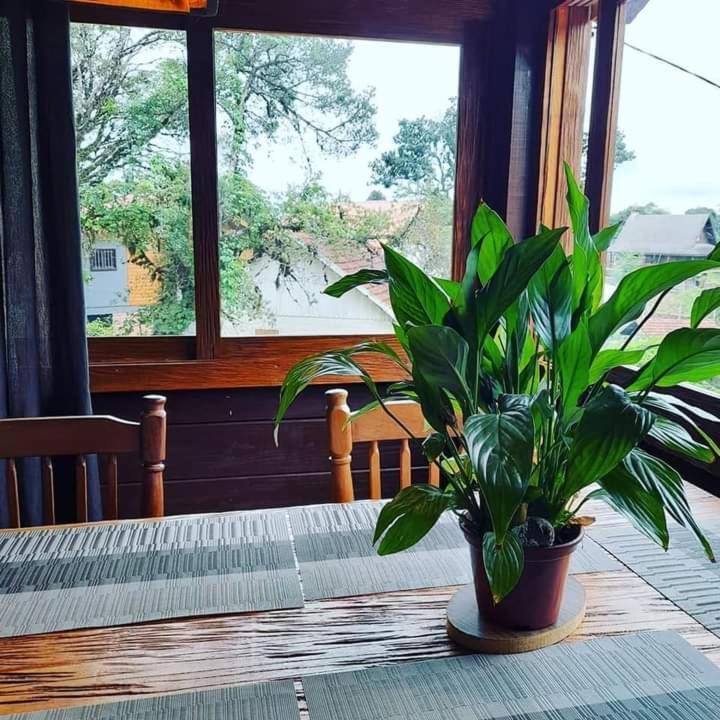 Refugio Jardim Mariana Otel Canela Dış mekan fotoğraf